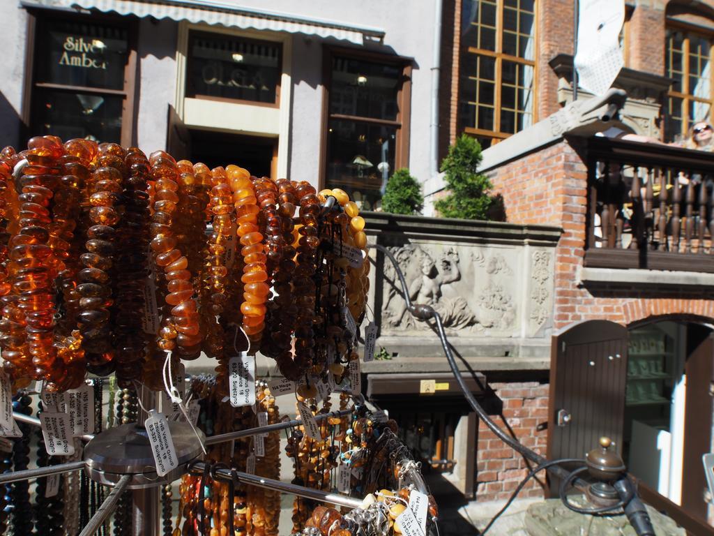 盛大旅游琥珀中心公寓酒店 格但斯克 外观 照片